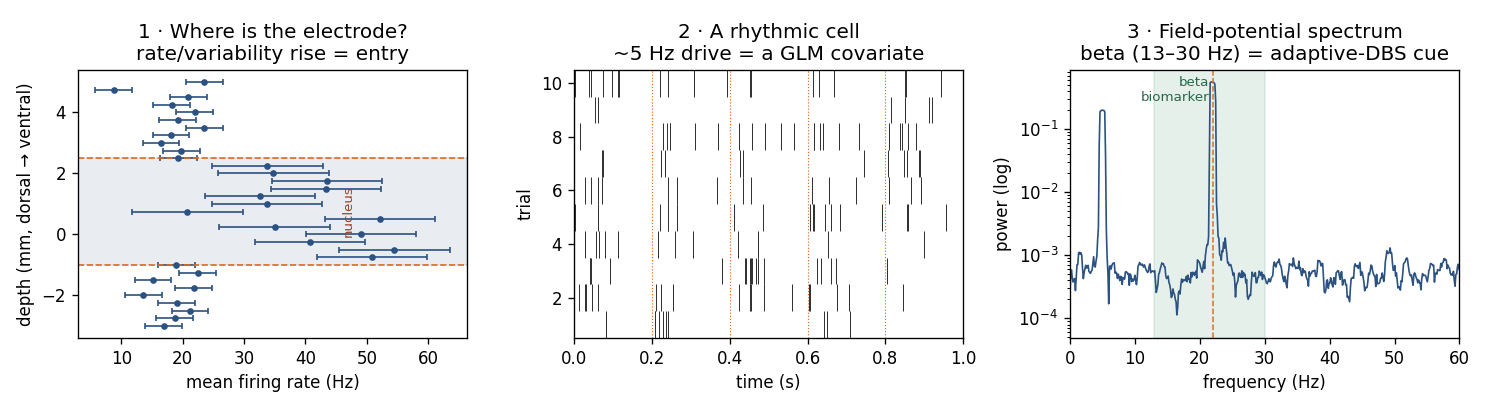 Three views of a simulated microelectrode descent: (1) mean firing rate versus depth, rising inside the nucleus; (2) a rhythmic ~5 Hz tremor cell as a spike raster; (3) the field-potential multitaper spectrum with a beta-band biomarker peak. Each maps onto a standard nSTAT object.