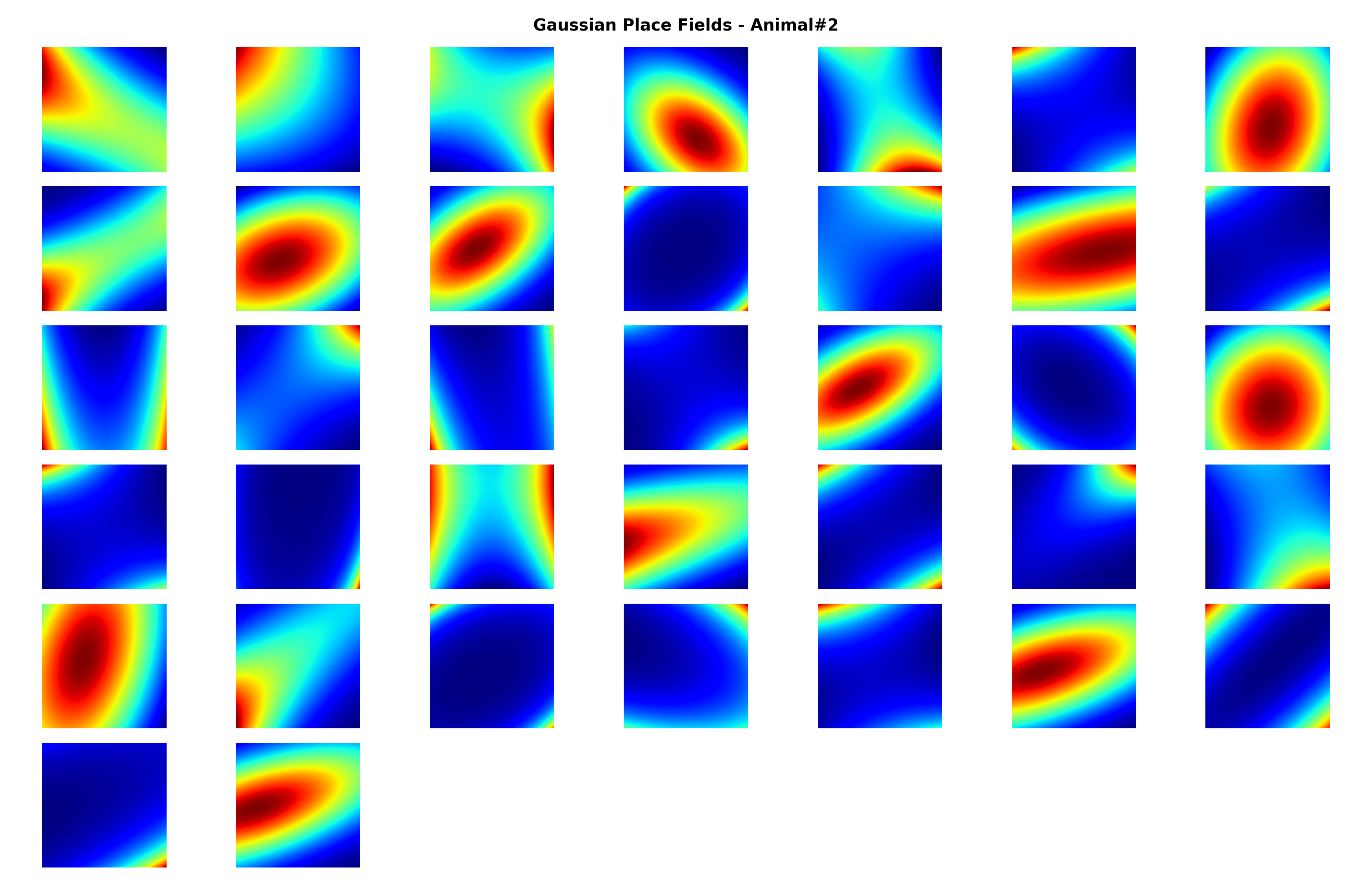 fig05_gaussian_place_fields_animal2