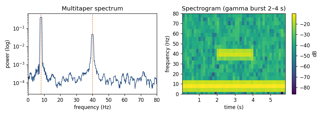Multitaper power spectrum and spectrogram of a simulated LFP