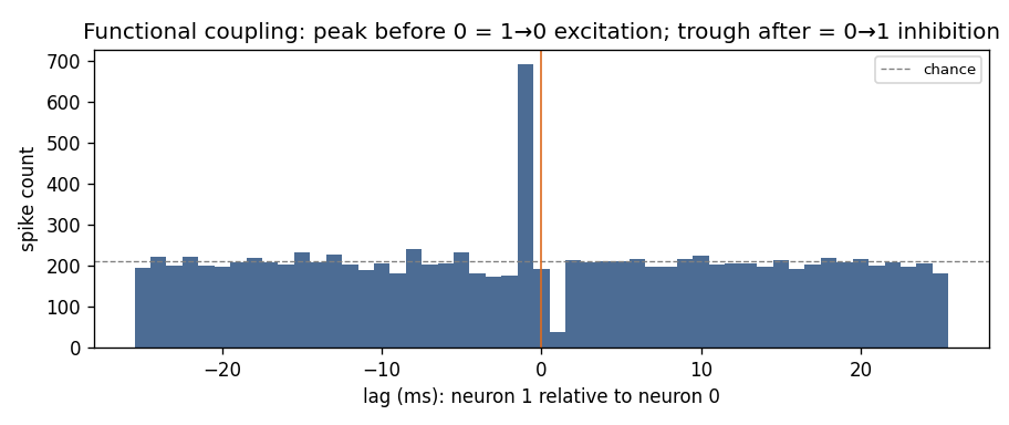 Cross-correlogram of two coupled neurons: a peak just before lag 0 from 1→0 excitation and a trough just after from 0→1 inhibition