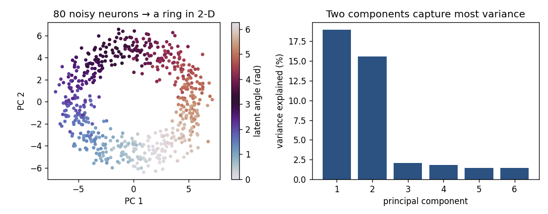 Left: the 2-D PCA projection of 80 noisy neurons forms a ring, colored by a hidden 1-D latent angle. Right: a scree bar plot showing the first two principal components capture most of the variance