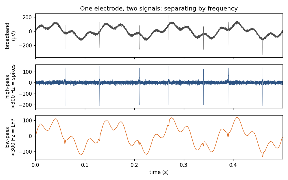 Broadband extracellular signal separated by frequency into high-pass spikes and low-pass LFP